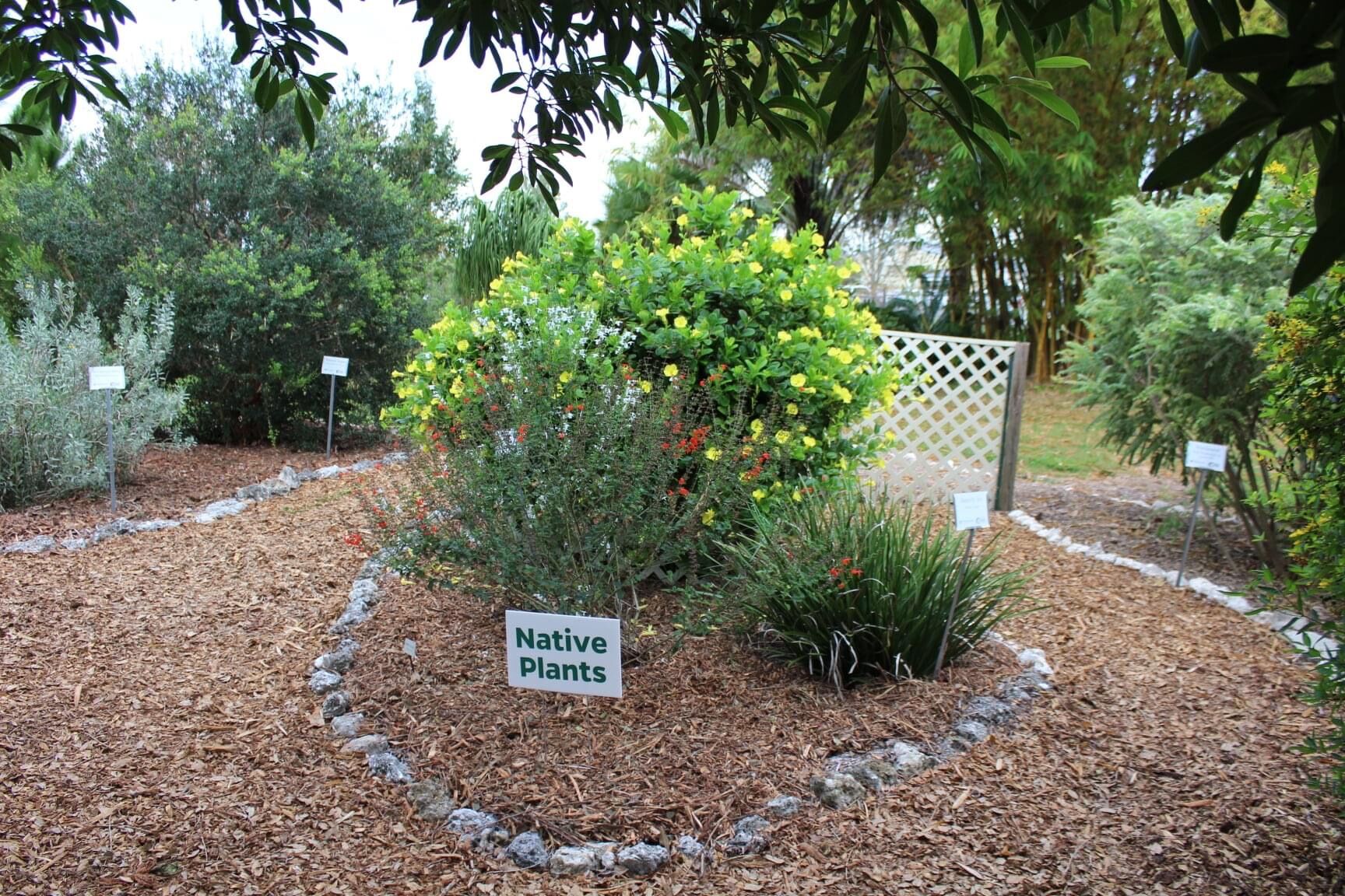 Master gardener demo garden